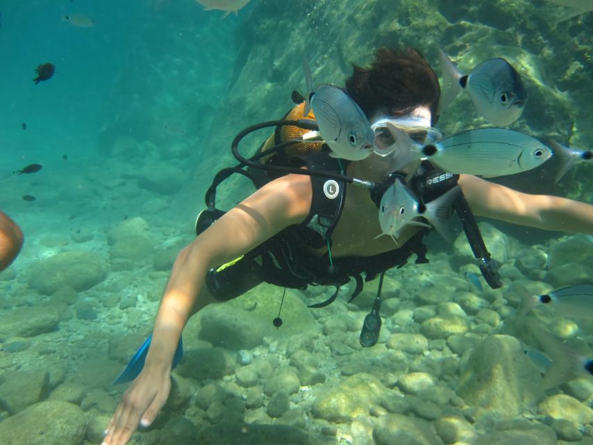 Antalya/Kemer: Scuba Diving Experience with Lunch & Pick up - From Kemer Marina to the open Mediterranean