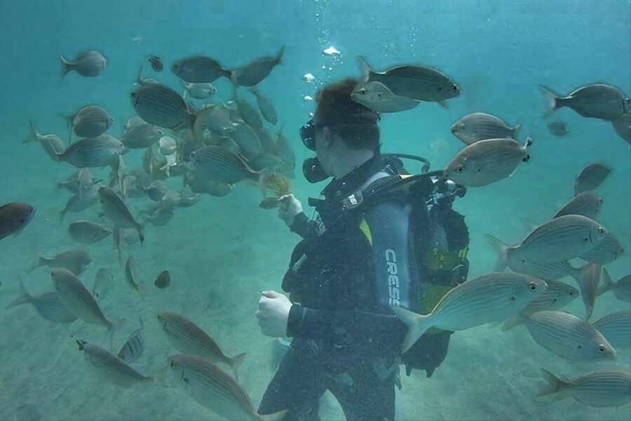 Antalya/Kemer: Scuba Diving Experience with Lunch & Pick up - What the $29 price really gives you