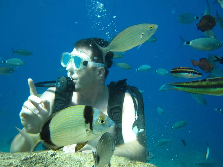 Antalya/Kemer: Scuba Diving Experience with Lunch & Pick up - Who will enjoy this Kemer boat trip most