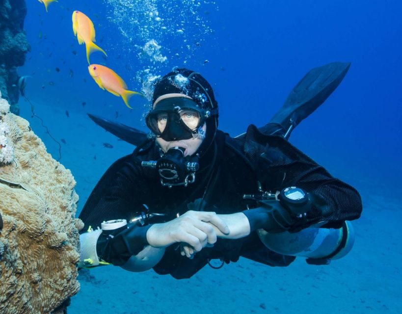Antalya/Kemer: Scuba Diving with Pickup, Lunch, and 2 Dives - The second site and the chance of a shipwreck