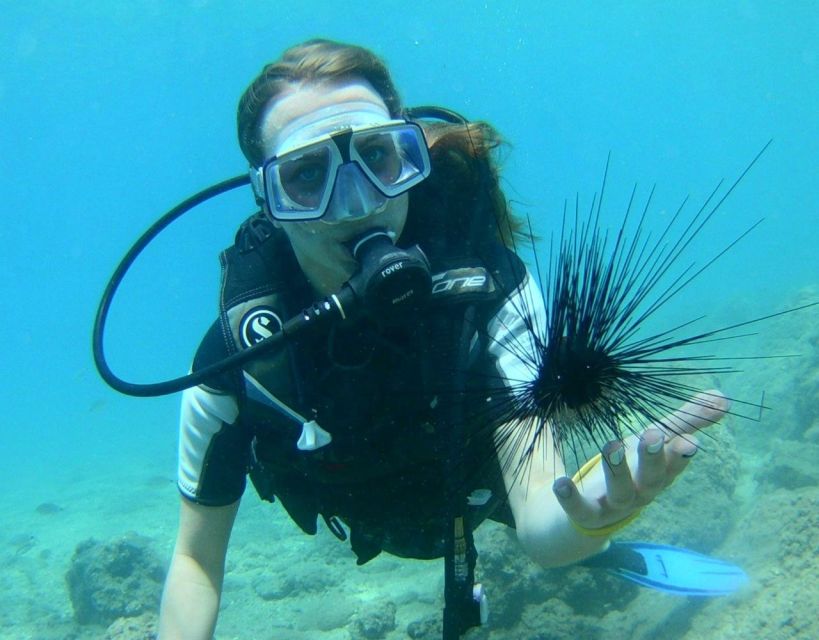 Antalya/Kemer: Scuba Diving with Pickup, Lunch, and 2 Dives - Timing, cancellation, and small practical details