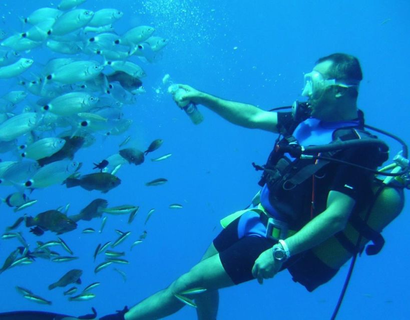 Antalya/Kemer: Scuba Diving with Pickup, Lunch, and 2 Dives - FAQ