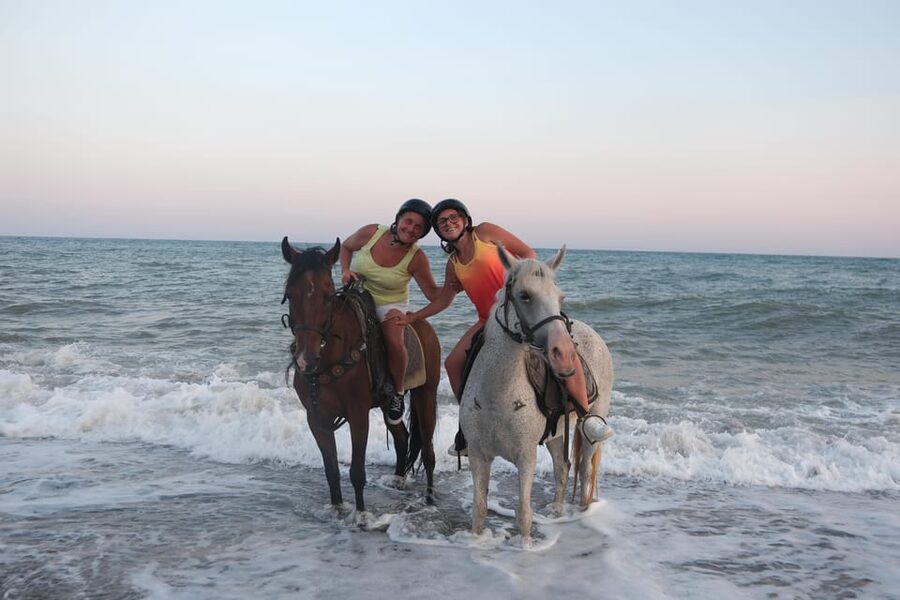 Antalya: Lara Beach & Forrest Horse Riding Safari - Antalya’s forest-to-beach horseback route