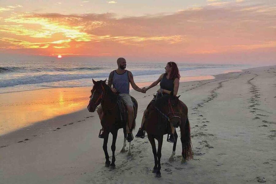 Antalya: Lara Beach & Forrest Horse Riding Safari - Calm horses and beginner support