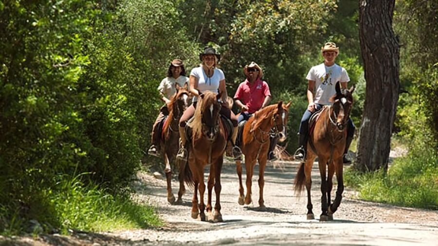 Antalya: Lara Beach & Forrest Horse Riding Safari - The short ride beside Lara Beach
