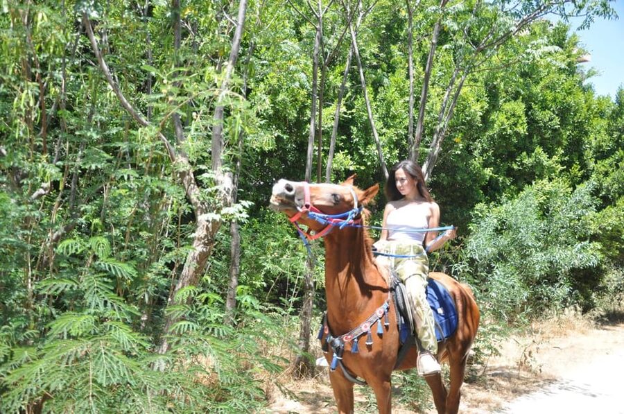 Antalya: Lara Beach & Forrest Horse Riding Safari - Who should book this ride