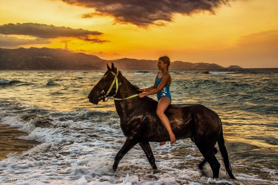 Antalya: Lara Beach & Forrest Horse Riding Safari - What happens when you arrive