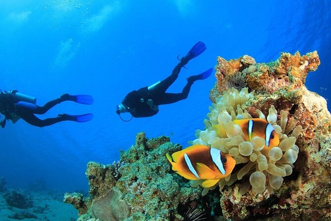 Antalya Scuba Diving With Transfer From Belek,Lara,Kemer Hotels - What happens before you enter the water