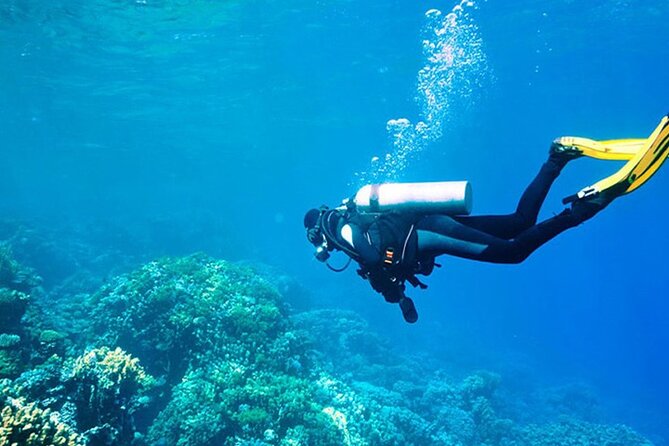 Antalya Scuba Diving With Transfer From Belek,Lara,Kemer Hotels - The first underwater session