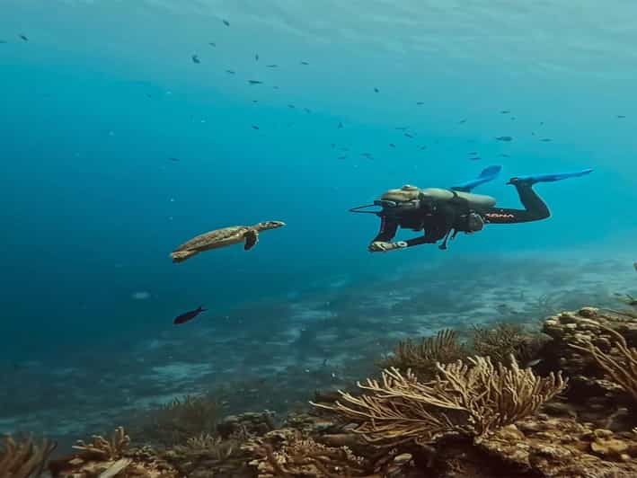 Antalya, Side and Alanya: Scuba Diving with Lunch & 2 Dives - What this Antalya scuba trip is really like