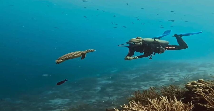 Antalya, Side and Alanya: Scuba Diving with Lunch & 2 Dives - Reaching Liman and getting ready on board