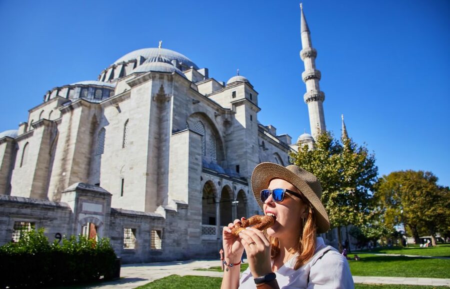Blue Mosque: Art and Symbolism Guided Group Walking Tour - Who should book this walking tour