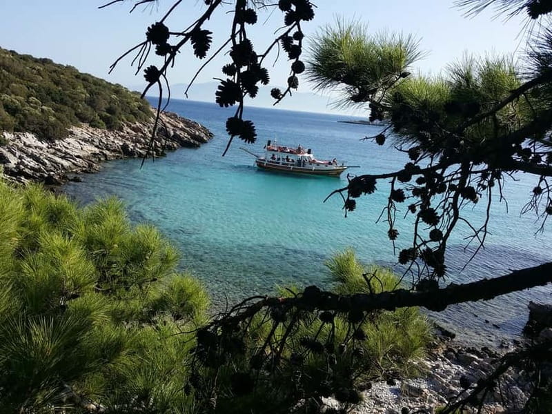 Bodrum: Boat Tour for Mein Schiff Cruise Passengers - Why the cruise timing matters