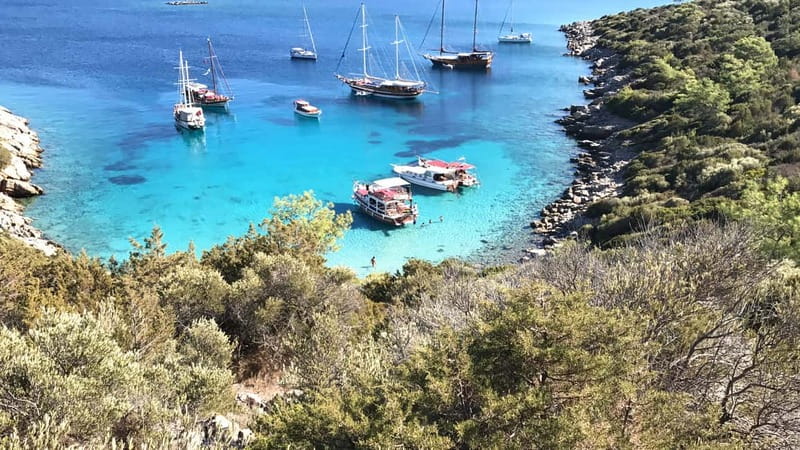 Bodrum: Boat Tour for Mein Schiff Cruise Passengers - Leaving Halikarnas harbor for the Aegean coast