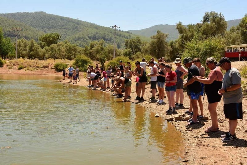 Bodrum: Full-Day Jeep Safari with Lunch - Who should book this jeep safari?