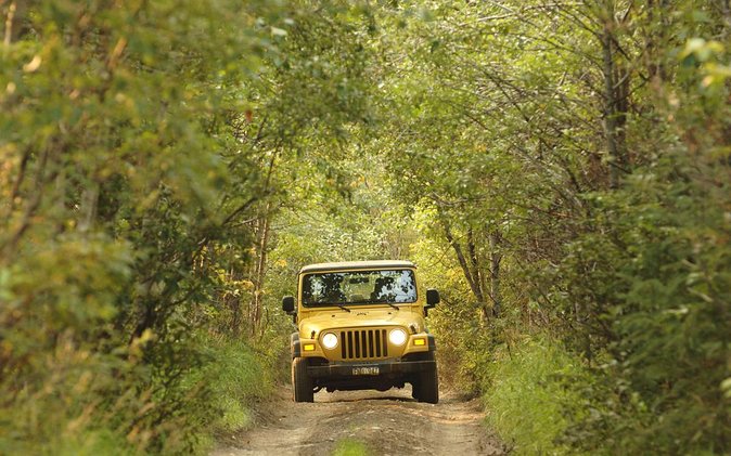Bodrum: Full-Day Jeep Safari with Lunch and Hotel Transfer - Water holes, mud areas, and the meaning of safari