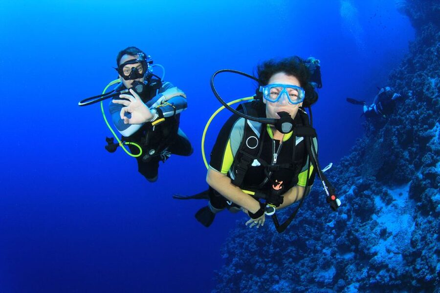 Bodrum: Full-Day Scuba Diving Tour - Key points to know before booking