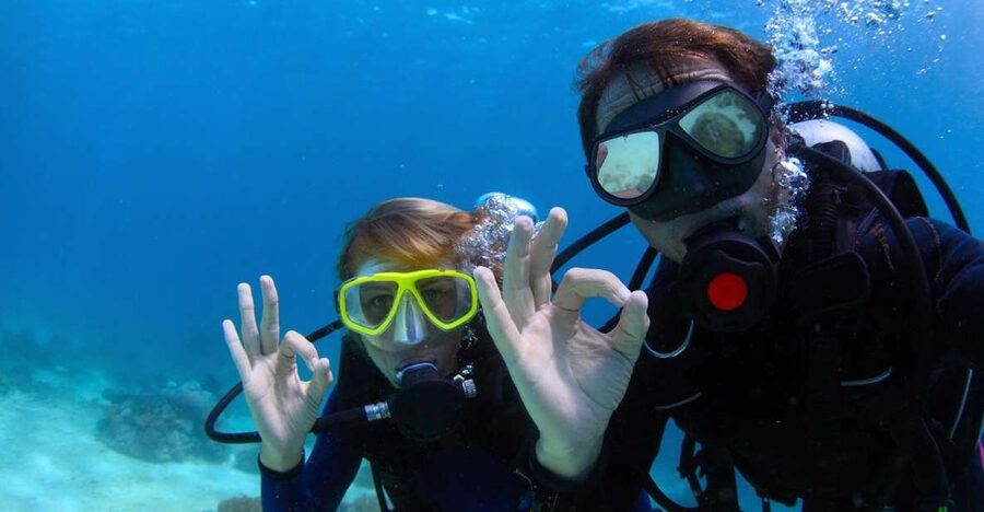 Bodrum: Full-Day Scuba Diving Tour - Why Bodrum works so well for an underwater day