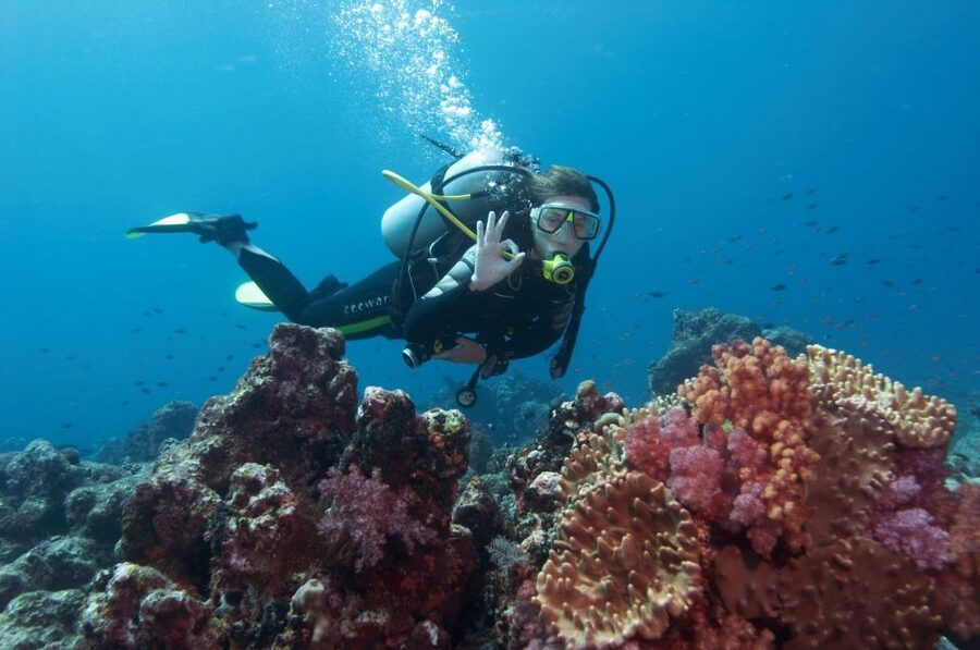 Bodrum: Full-Day Scuba Diving Tour - Amphoras and anchors more than 2,000 years old