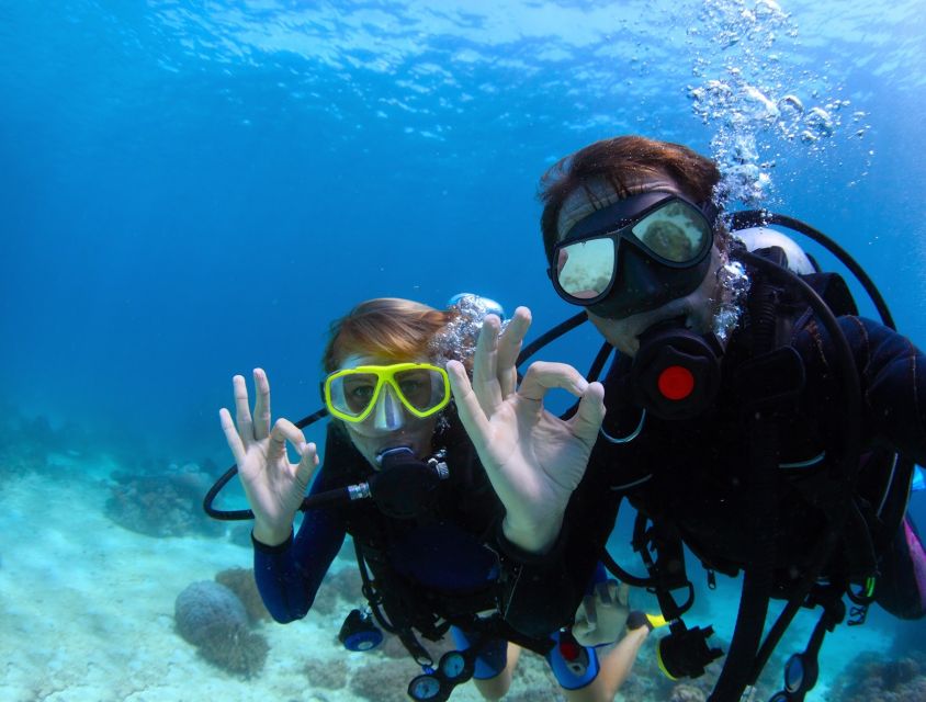 Bodrum: Full-Day Scuba Diving Tour - What the $93 price really covers