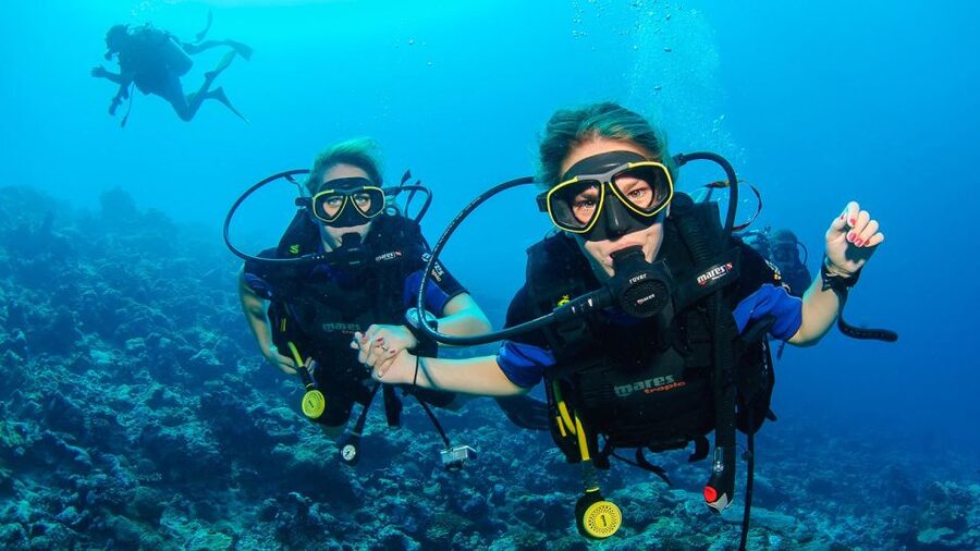 Bodrum: Full-Day Scuba Diving Tour - From the harbor to the first underwater session