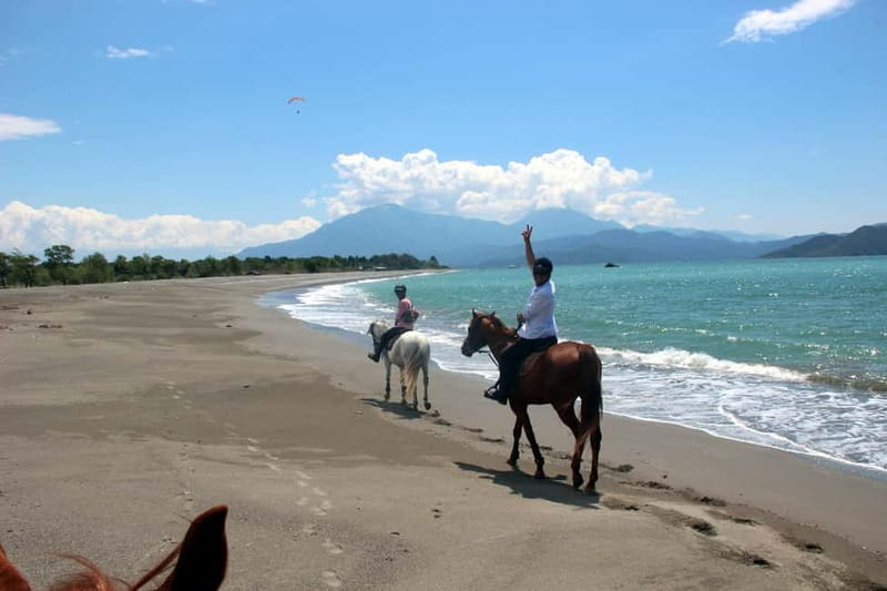 Bodrum: Horseback Riding Experience - From Bodrum Hotel to Pine-Covered Horse Club