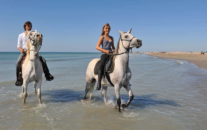 Bodrum: Horseback Riding Experience - Riding Through Forest, Groves, and Mountain Country