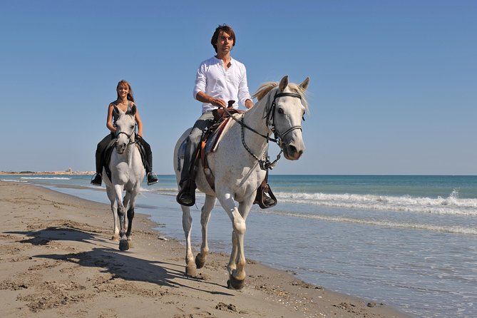 Bodrum Horseback Riding Experience with Hotel Transfer - Leaving Bodrum for the pine country