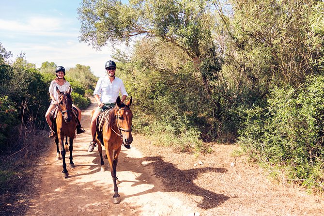 Bodrum Horseback Riding Experience with Hotel Transfer - Road sections and the honest scenery report