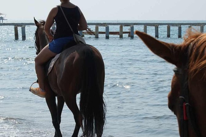 Bodrum Horseback Riding Experience with Hotel Transfer - Who will get the most from this ride