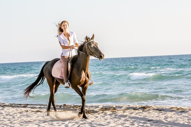 Bodrum Horseback Riding Experience with Hotel Transfer - First-time riders should know this