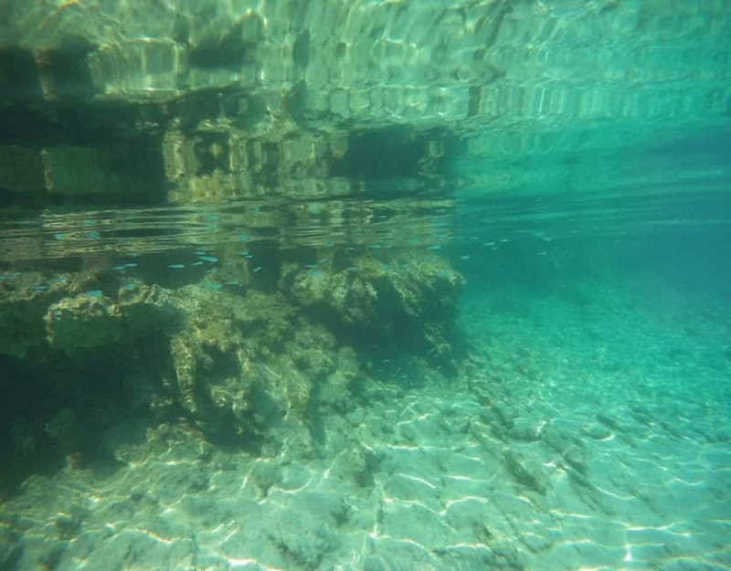 Bodrum: Karaada Boat Cruise with Lunch - Key Points