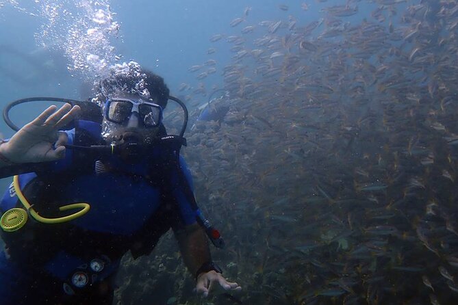 Bodrum Scuba Diving Tour With Free Hotel Transfer By Locals - Key points to know before you book