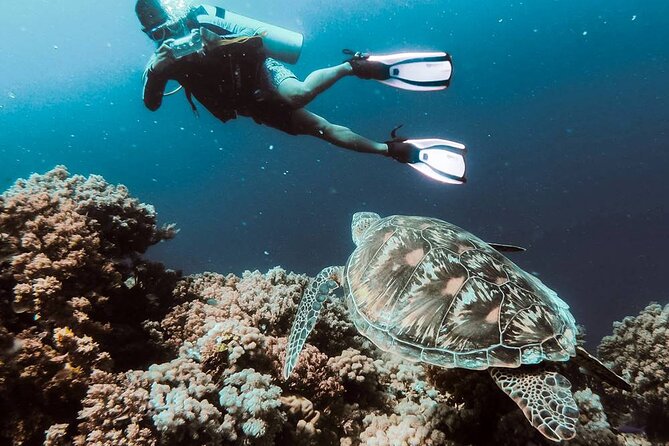 Bodrum Scuba Diving Tour With Free Hotel Transfer By Locals - Getting set up on the fully equipped boat