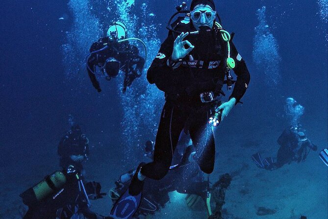 Bodrum Scuba Diving Tour With Free Hotel Transfer By Locals - Instruction that works for first-timers