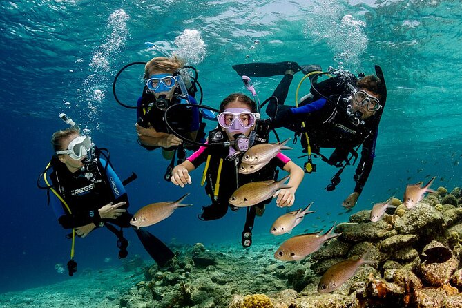 Bodrum Scuba Diving Tour With Free Hotel Transfer By Locals - A useful option for mixed groups