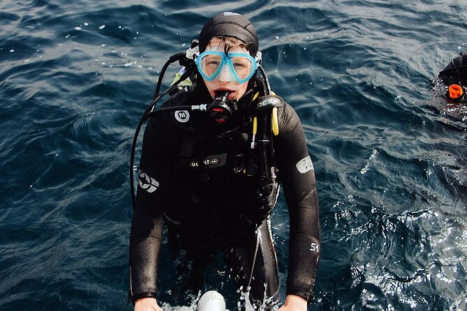 Bodrum Scuba Diving Tour With Free Hotel Transfer By Locals - What the boat day feels like between sessions