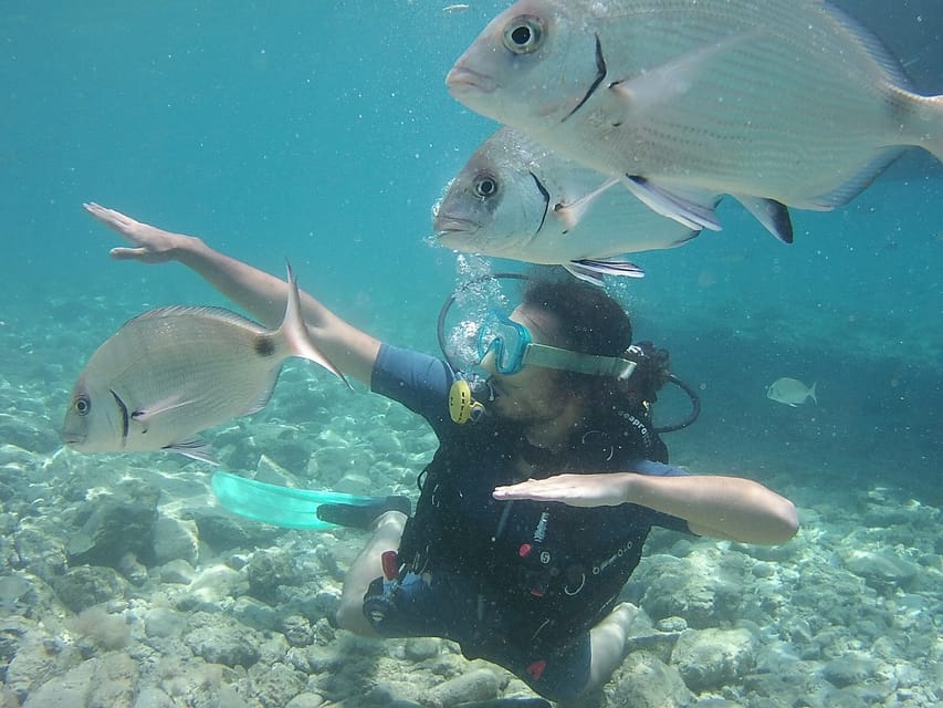 Bodrum: Scuba Diving Trip with Lunch - Key points to know before you book