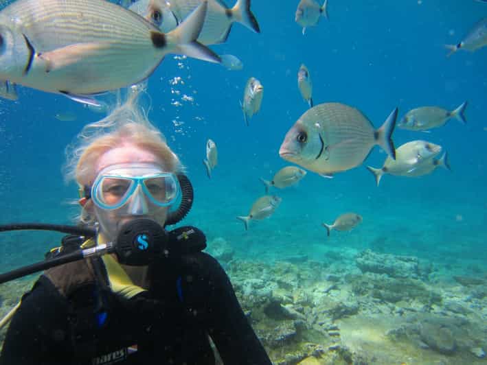 Bodrum: Scuba Diving Trip with Lunch - What you actually see below the surface