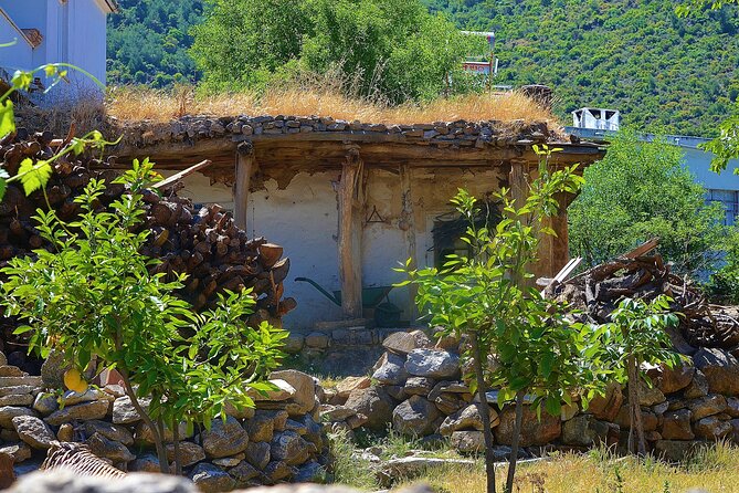 Bodrum Village Tour with Group - Timing, pickup, and cancellation advice