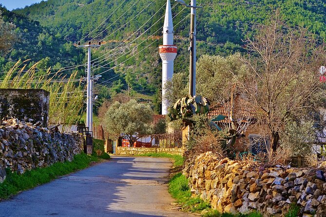 Bodrum Village Tour with Group - Tobacco, olives, and local products