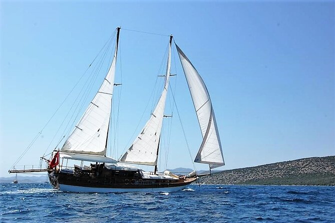 Bodrum Vip Private Gulet Tour - Air-conditioned transfers and meeting at Bodrum Harbour