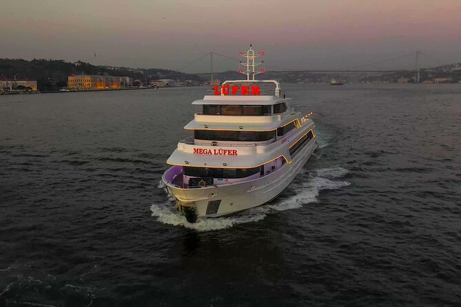 Bosphorus Dinner Cruise with Show and Private Table - The Turkish dinner: generous, familiar, and uneven