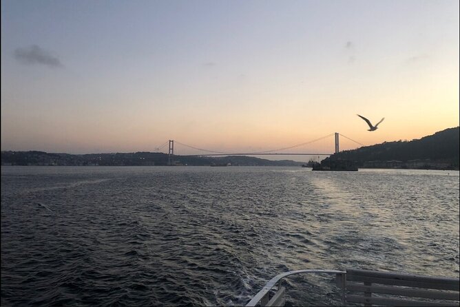 Bosphorus Explorer: 3-Hour Cruise with Asian Side Visit - Daylight, sunset, or night?