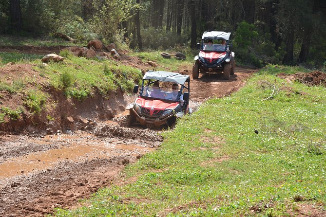 Buggy Safari for 2 people - What the $180.23 price really buys