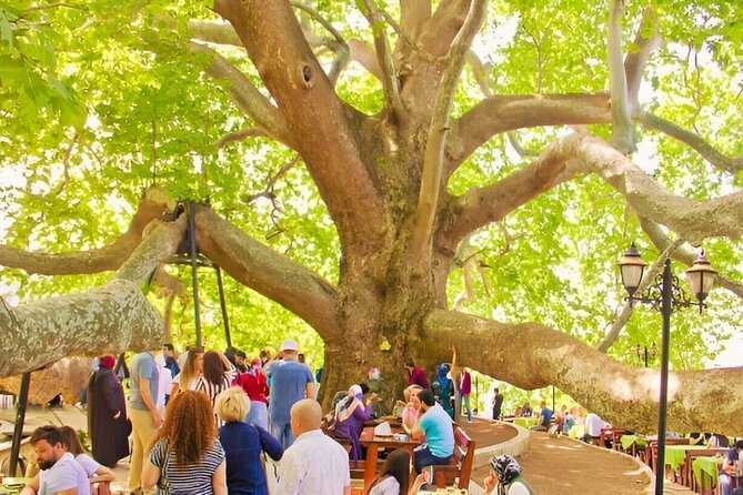 Bursa And Uludağ Tour From İstanbul with Cable Car & Lunch - Green Mosque and Green Tomb