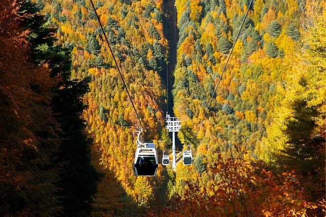 Bursa And Uludağ Tour From İstanbul with Cable Car & Lunch - First taste of Bursa: sweets and local products