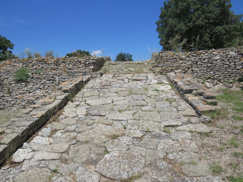 Canakkale: Full-Day Troy and Gallipoli Tour - Is $164 a Fair Price?