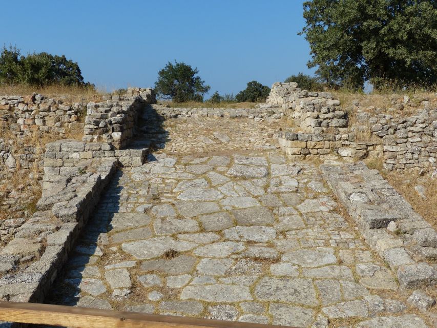 Canakkale: Half-Day Troy Tour - From your Canakkale hotel to the ancient hill