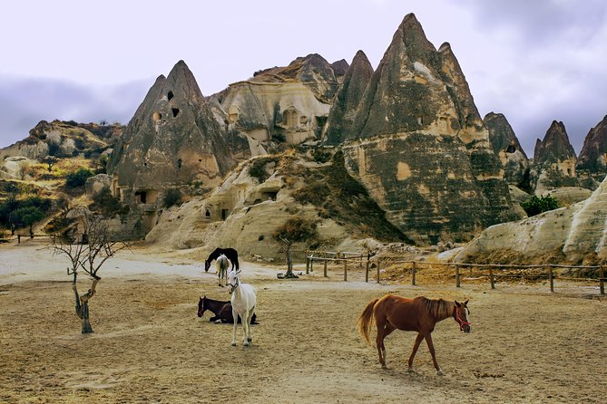 Cappadocia 2 Day Tour from Antalya - Coach comfort and the group size